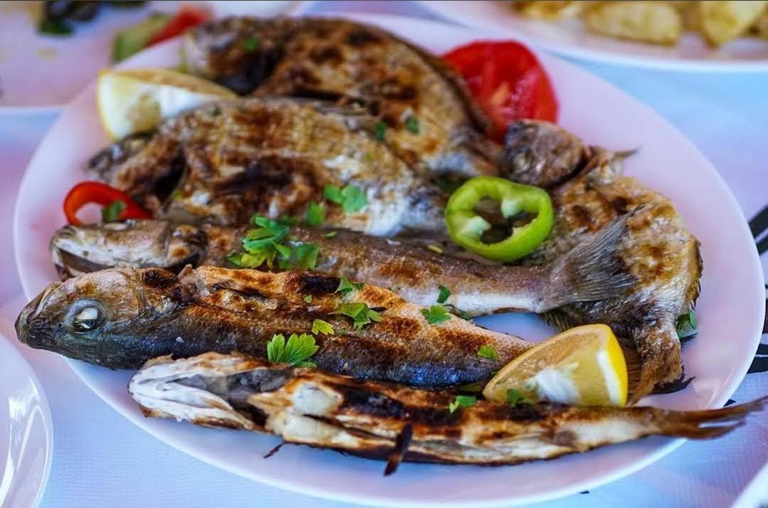 Hotel Restorant Olti Shetaj Экстерьер фото